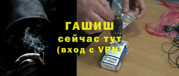 гидра Горнозаводск