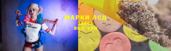 mdpv Горно-Алтайск