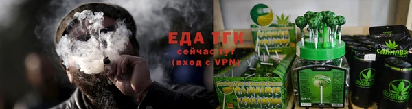 гидра Горнозаводск