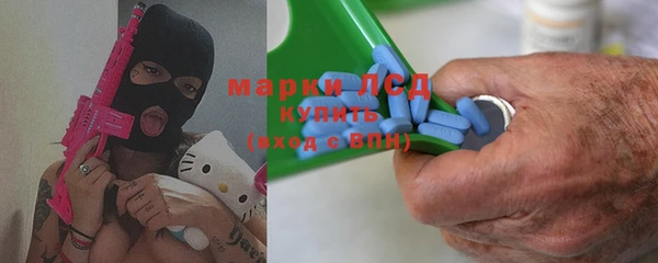гидра Горнозаводск