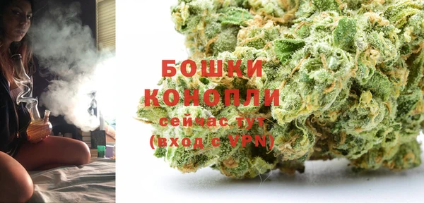 гидра Горнозаводск