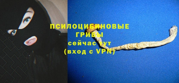 СК Горняк