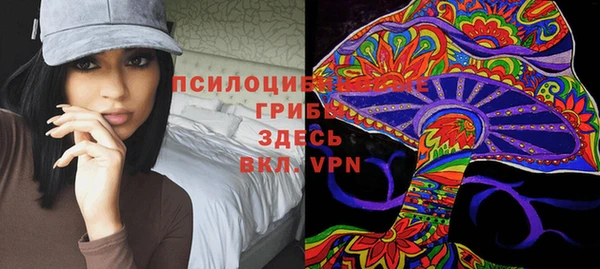 mdpv Горно-Алтайск