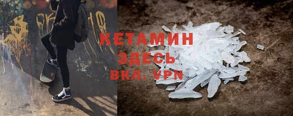 шишки Тутаев