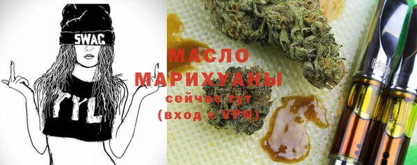 гидра Горнозаводск
