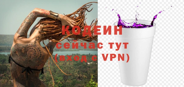 гидра Горнозаводск